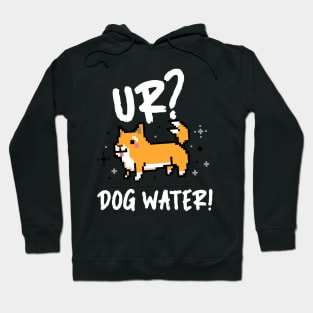 Ur Dog Water? 1.0 Hoodie